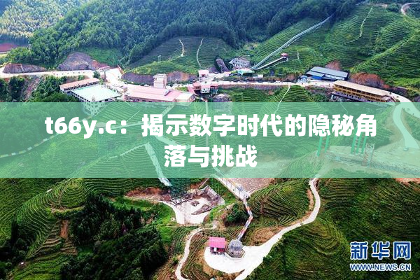 t66y.c：揭示数字时代的隐秘角落与挑战