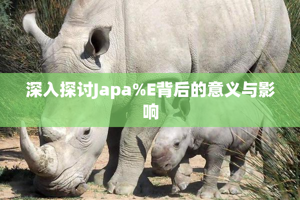 深入探讨Japa%E背后的意义与影响