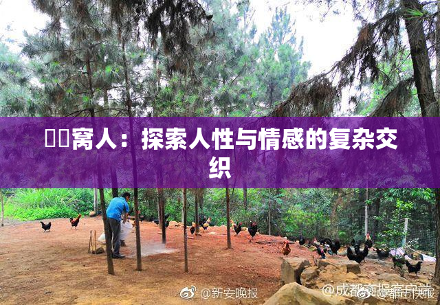 妺妺窝人：探索人性与情感的复杂交织