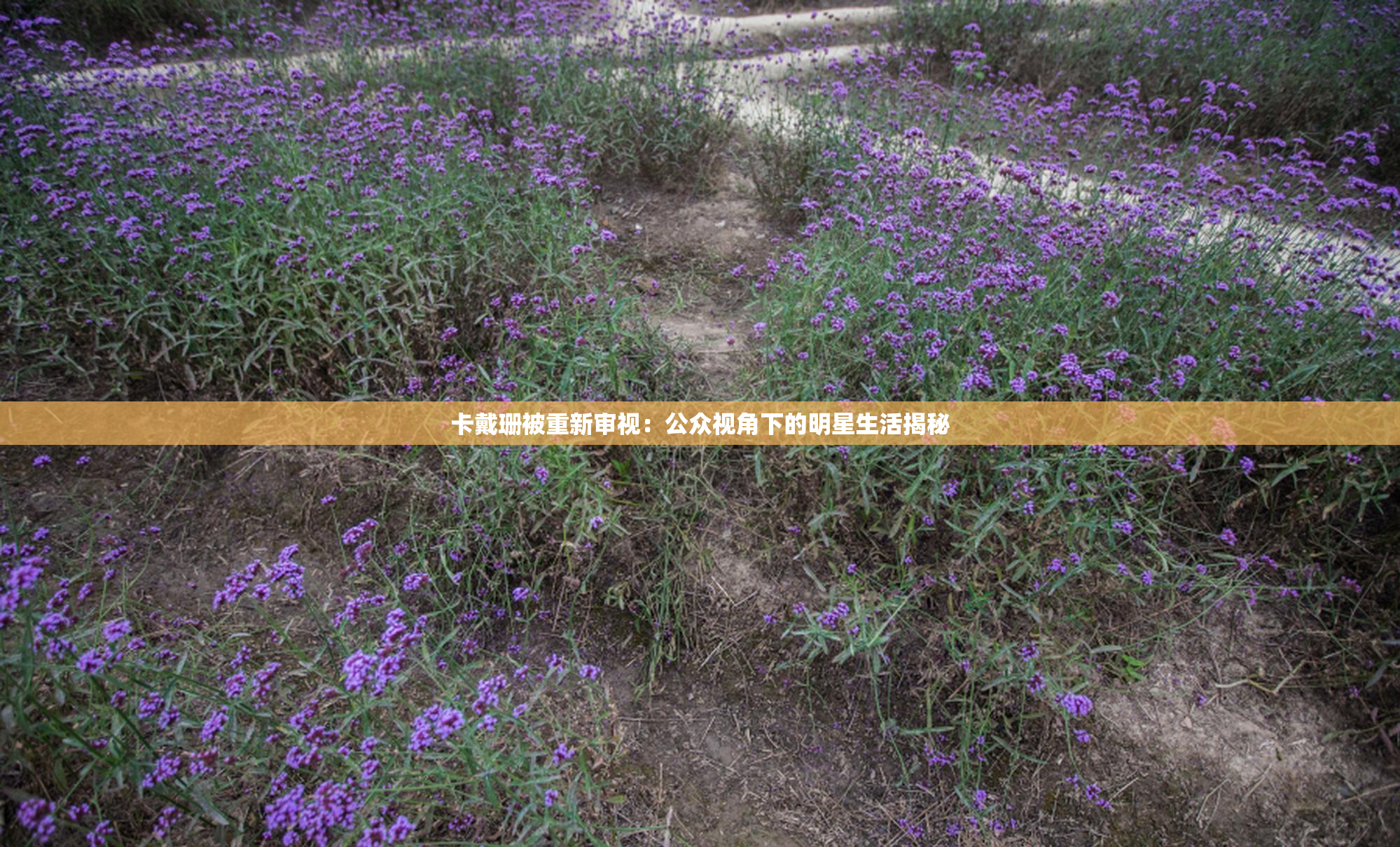 卡戴珊被重新审视：公众视角下的明星生活揭秘