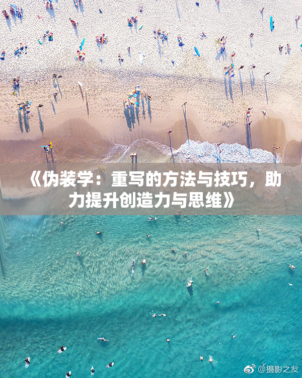 《伪装学：重写的方法与技巧，助力提升创造力与思维》