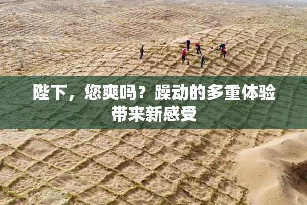 陛下，您爽吗？躁动的多重体验带来新感受