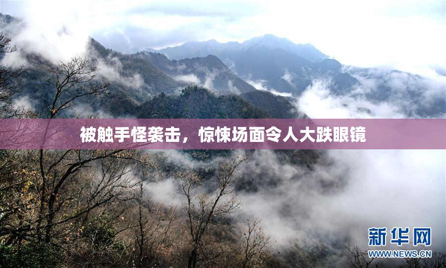 被触手怪袭击，惊悚场面令人大跌眼镜