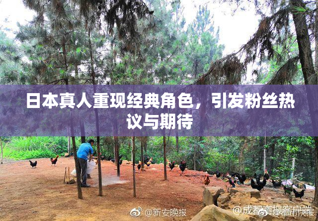 日本真人重现经典角色，引发粉丝热议与期待