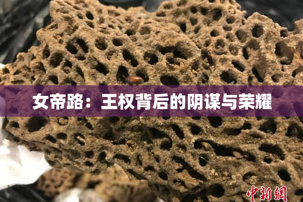 女帝路：王权背后的阴谋与荣耀