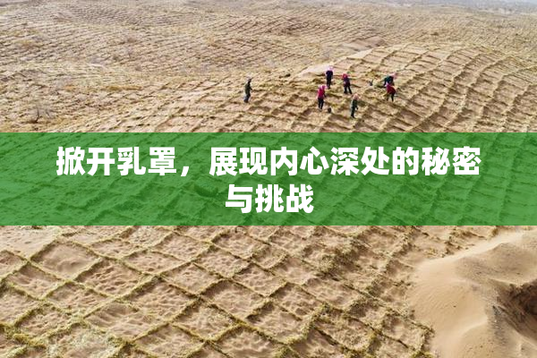 掀开乳罩，展现内心深处的秘密与挑战
