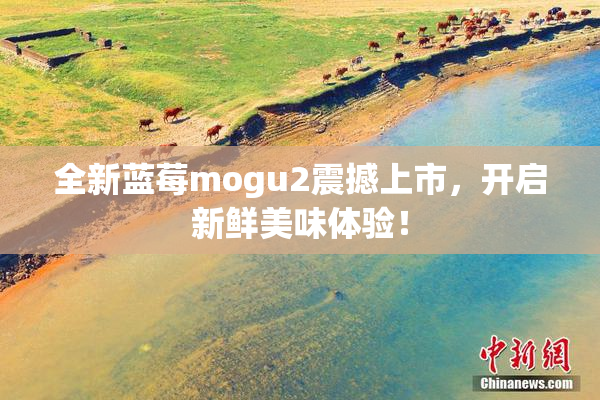 全新蓝莓mogu2震撼上市，开启新鲜美味体验！