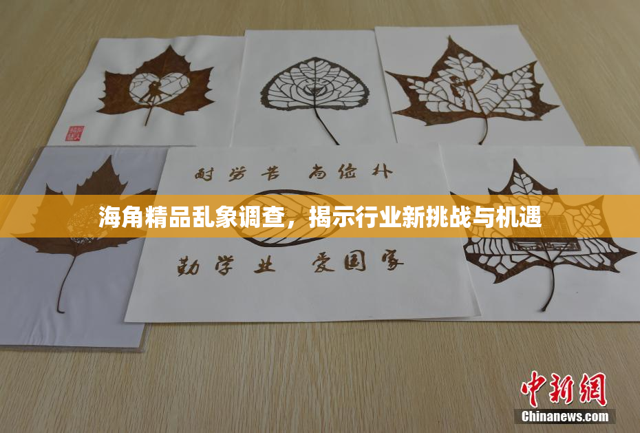 海角精品乱象调查，揭示行业新挑战与机遇