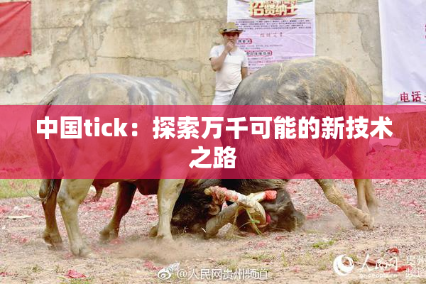 中国tick：探索万千可能的新技术之路