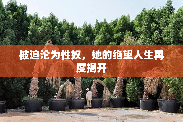 被迫沦为性奴，她的绝望人生再度揭开