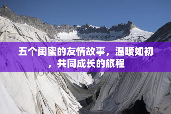 五个闺蜜的友情故事，温暖如初，共同成长的旅程