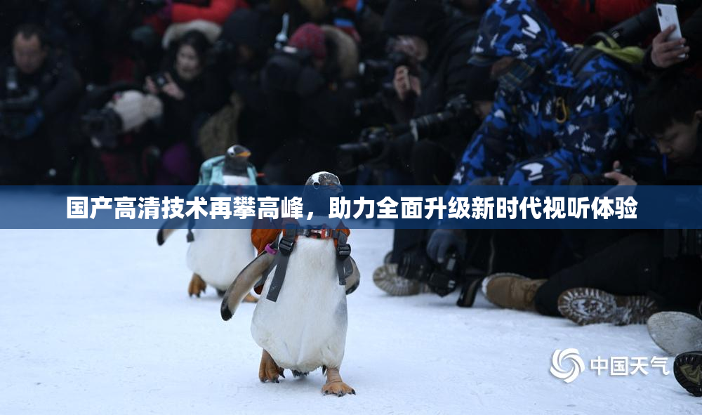 国产高清技术再攀高峰，助力全面升级新时代视听体验