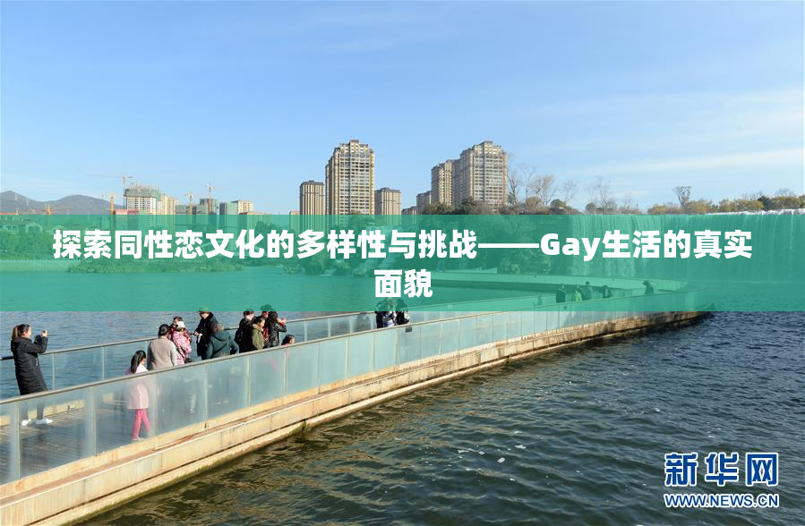 探索同性恋文化的多样性与挑战——Gay生活的真实面貌
