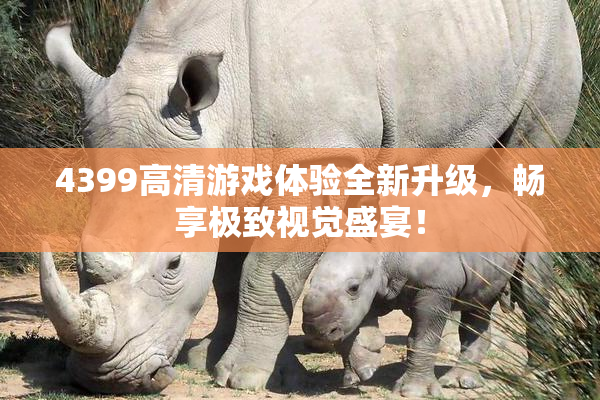 4399高清游戏体验全新升级，畅享极致视觉盛宴！