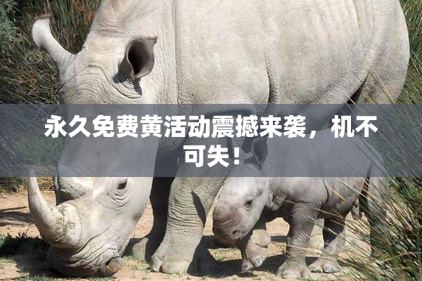 永久免费黄活动震撼来袭，机不可失！