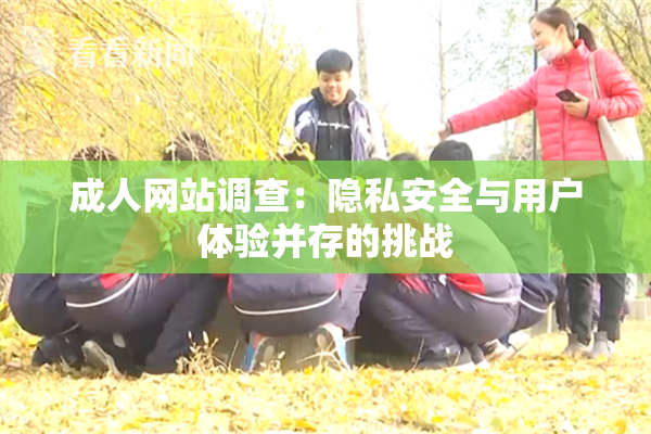 成人网站调查：隐私安全与用户体验并存的挑战