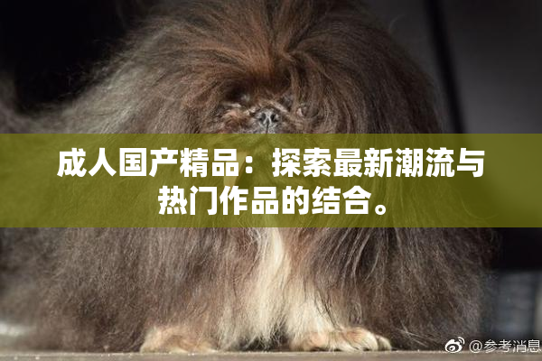成人国产精品：探索最新潮流与热门作品的结合。