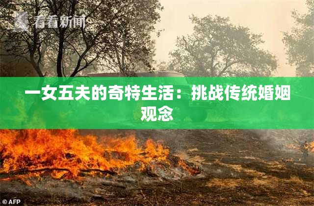 一女五夫的奇特生活：挑战传统婚姻观念