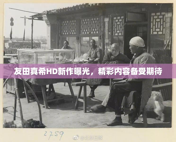 友田真希HD新作曝光，精彩内容备受期待