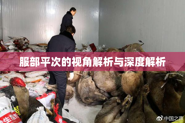 服部平次的视角解析与深度解析