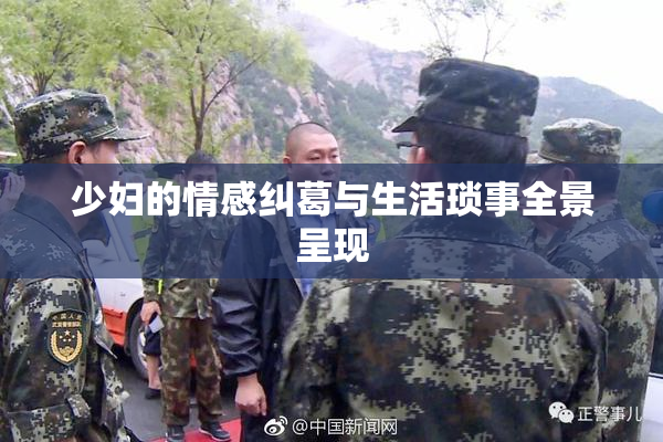 少妇的情感纠葛与生活琐事全景呈现