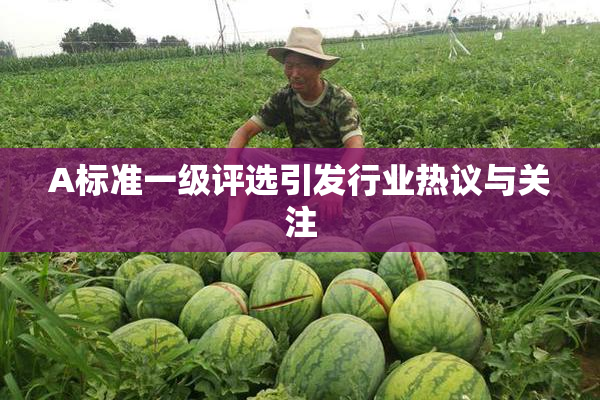A标准一级评选引发行业热议与关注