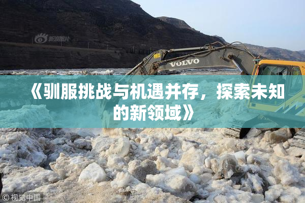 《驯服挑战与机遇并存，探索未知的新领域》