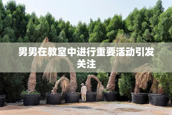 男男在教室中进行重要活动引发关注