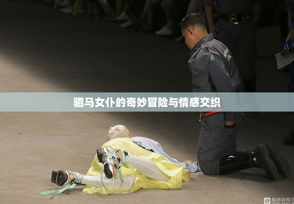 驷马女仆的奇妙冒险与情感交织