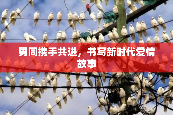 男同携手共进，书写新时代爱情故事