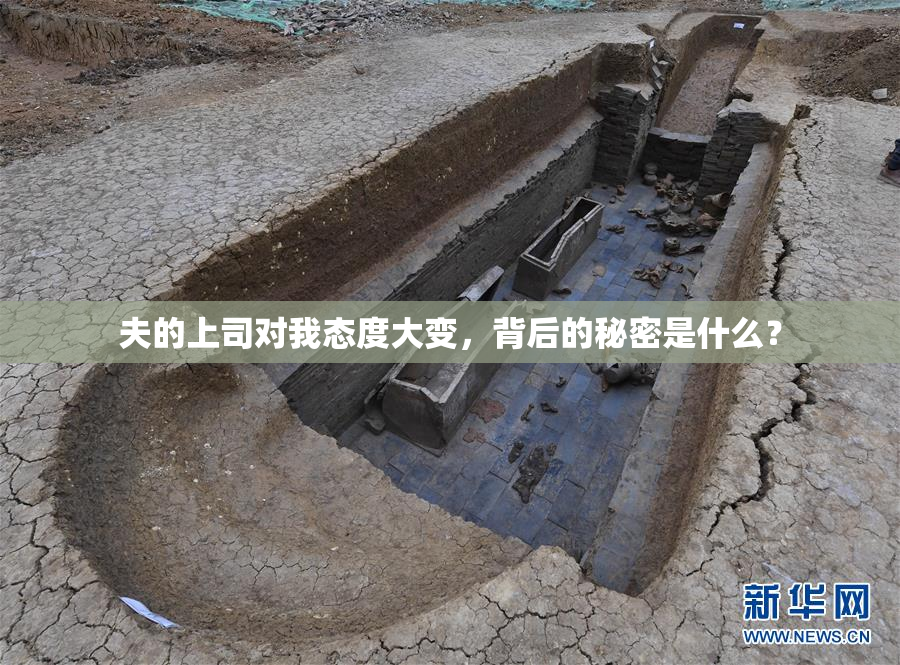 夫的上司对我态度大变，背后的秘密是什么？