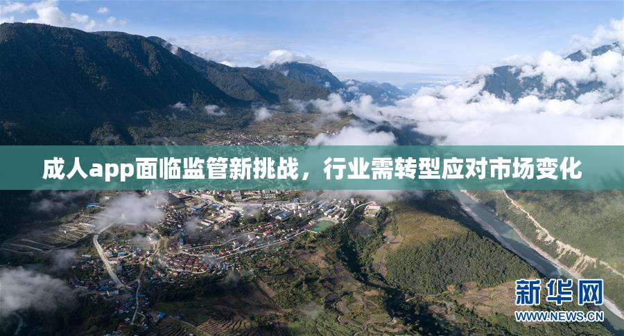 成人app面临监管新挑战，行业需转型应对市场变化