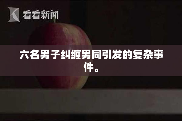 六名男子纠缠男同引发的复杂事件。