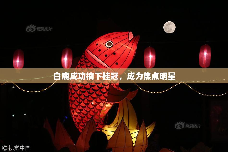 白鹿成功摘下桂冠，成为焦点明星