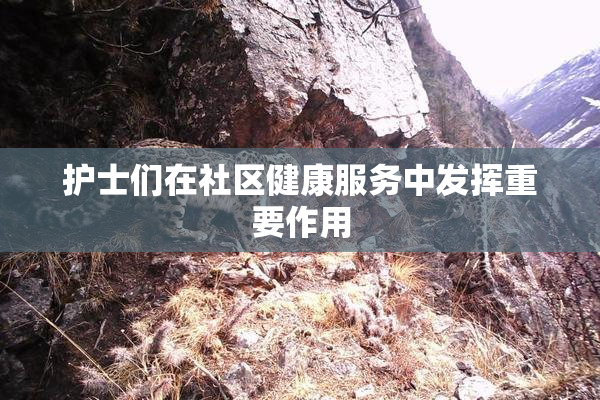 护士们在社区健康服务中发挥重要作用