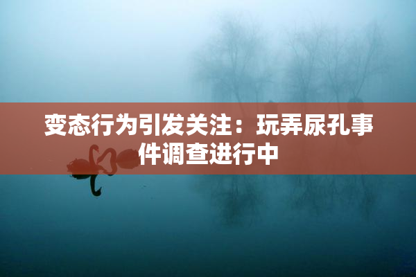 变态行为引发关注：玩弄尿孔事件调查进行中