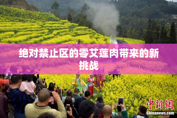 绝对禁止区的零艾莲肉带来的新挑战