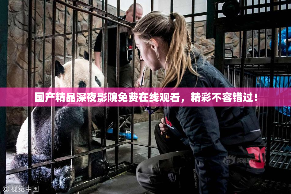 国产精品深夜影院免费在线观看，精彩不容错过！