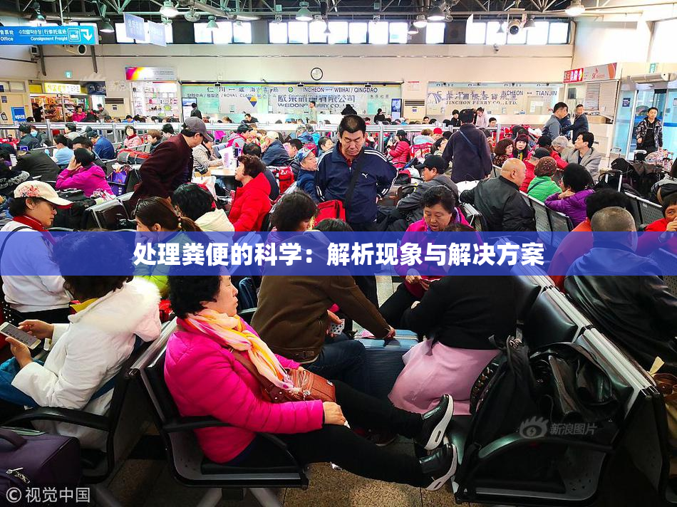 处理粪便的科学：解析现象与解决方案