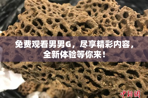 免费观看男男G，尽享精彩内容，全新体验等你来！