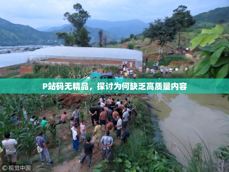 P站码无精品，探讨为何缺乏高质量内容