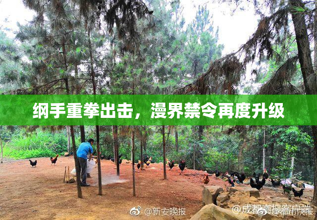 纲手重拳出击，漫界禁令再度升级