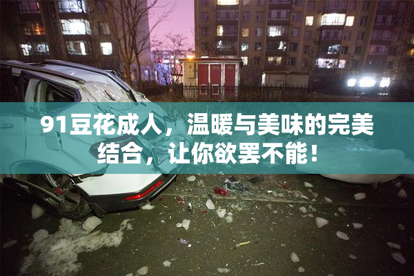 91豆花成人，温暖与美味的完美结合，让你欲罢不能！