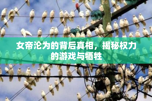 女帝沦为的背后真相，揭秘权力的游戏与牺牲