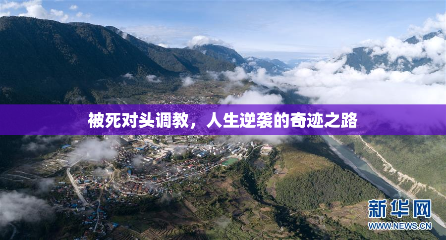 被死对头调教，人生逆袭的奇迹之路