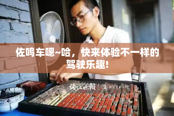 佐鸣车嗯~哈，快来体验不一样的驾驶乐趣!