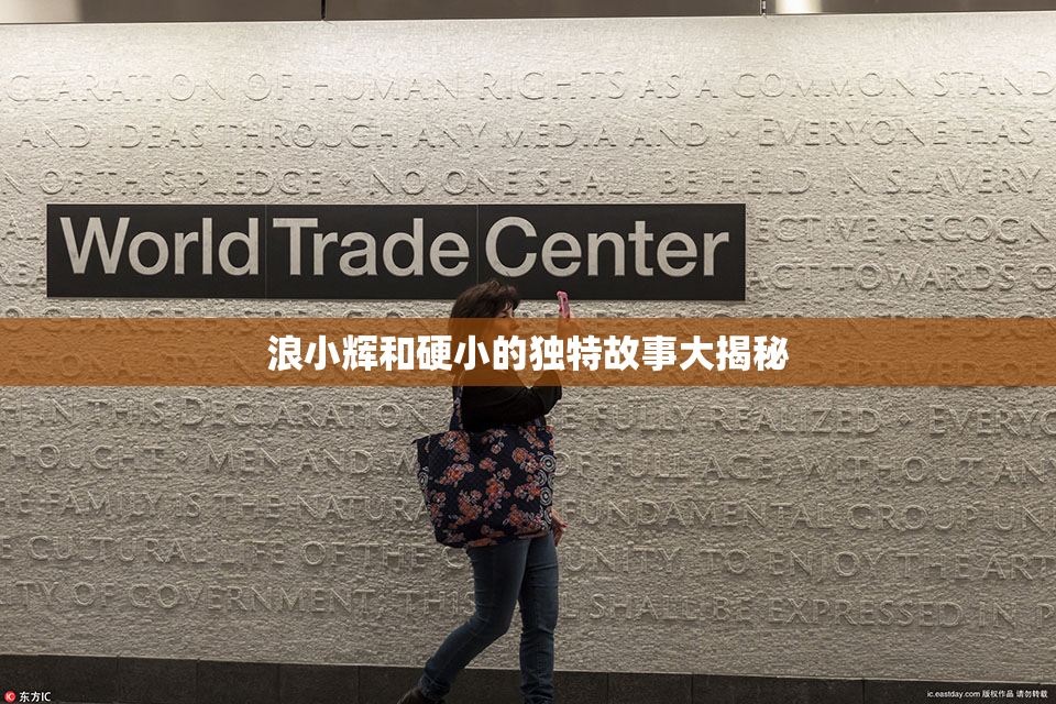 浪小辉和硬小的独特故事大揭秘