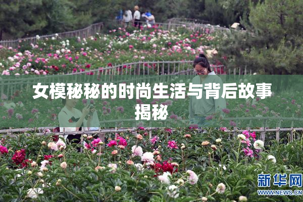 女模秘秘的时尚生活与背后故事揭秘