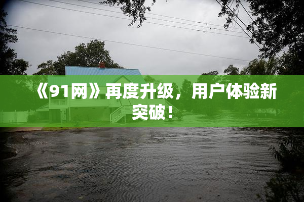 《91网》再度升级，用户体验新突破！