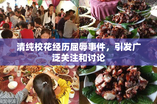 清纯校花经历屈辱事件，引发广泛关注和讨论
